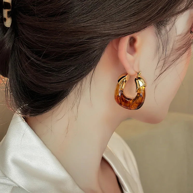 Lilly | Retro U-shaped Geometric Earrings made of Brown Resin for Women